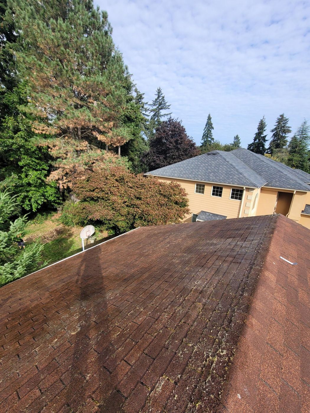 Roof ridge cleaned, after