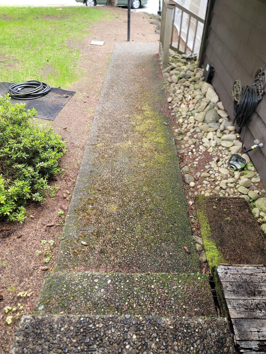 Mossy aggregate side walkway, before